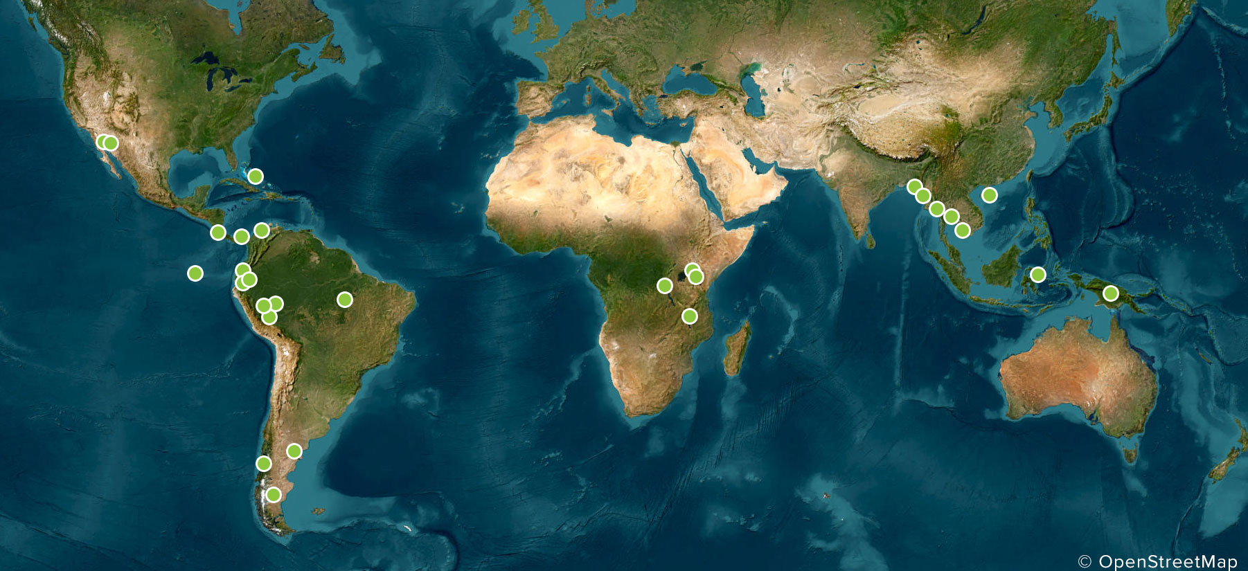 International Conervation Projects across the world