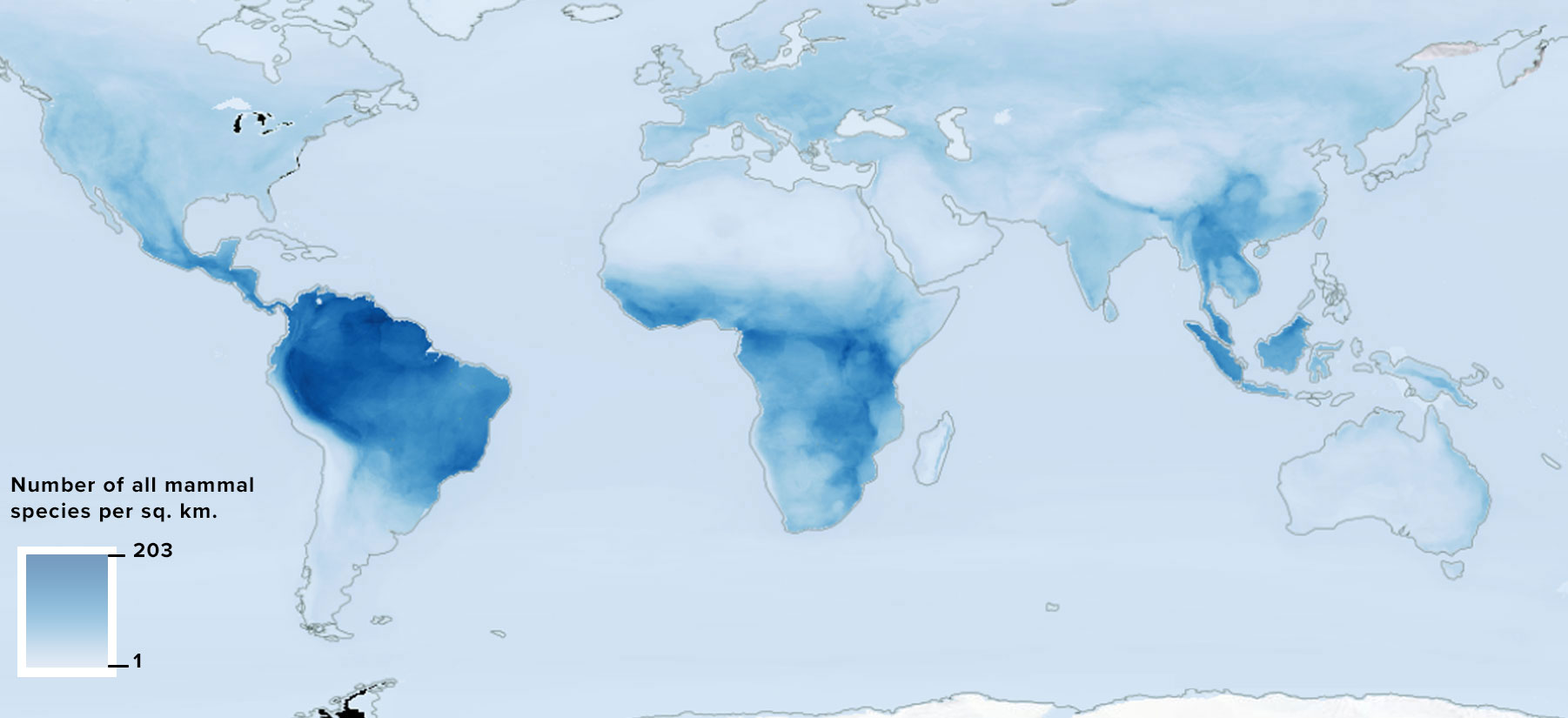 mammal density biodiversity on earth