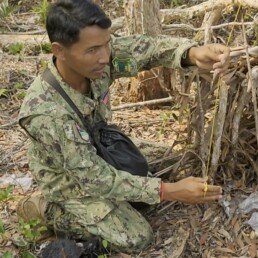 Ranger removing snares to aid wildlife conservation in Cambodia.