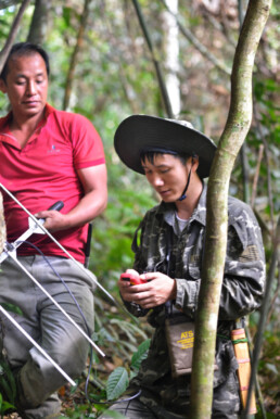 snare removal vietnam